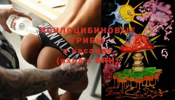 сатива Алексин