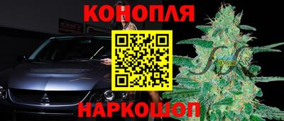 гидра Гагарин