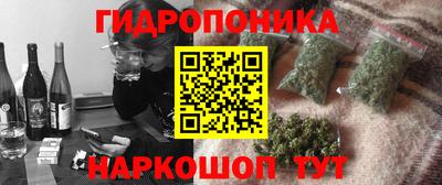 гидра Гагарин