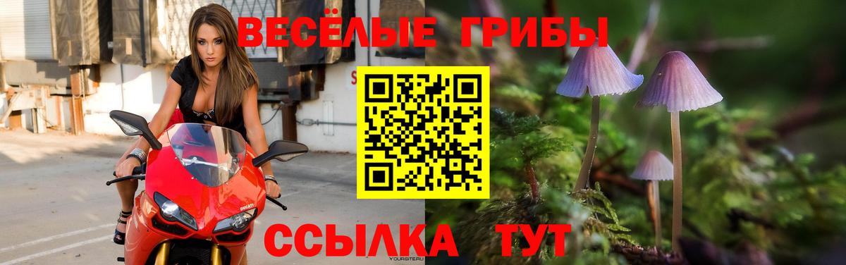 Галлюциногенные грибы Cubensis  Вход с VPN  Псилоцибиновые грибы прущие грибы  где купить наркоту  Калач-на-Дону 
