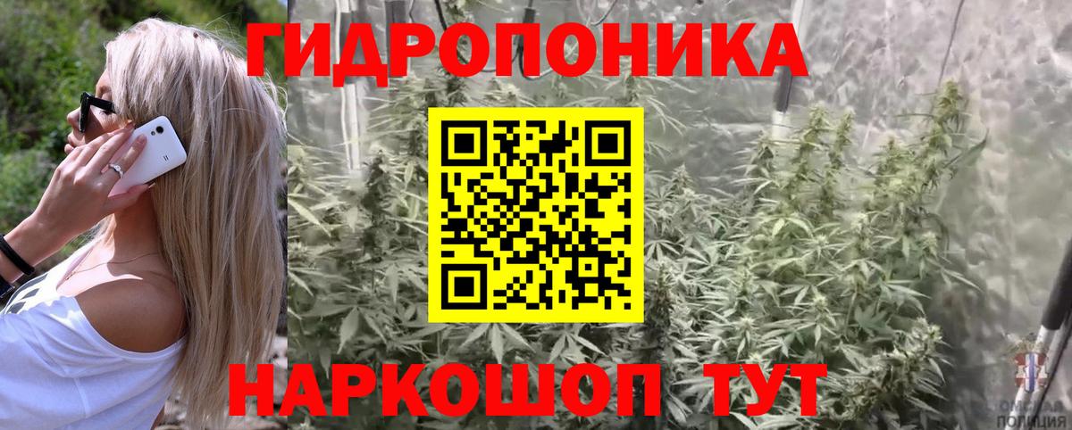 Калач-на-Дону  Каннабис VHQ  Шишки марихуана планчик  Бошки марихуана OG Kush  Вход с VPN 